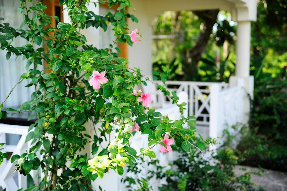 Coral Seas Beach Negril Exterior photo